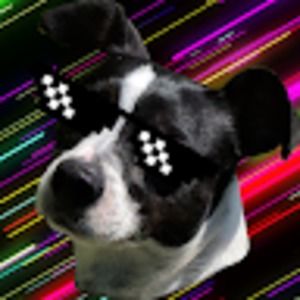 Meet your Posher, Evan